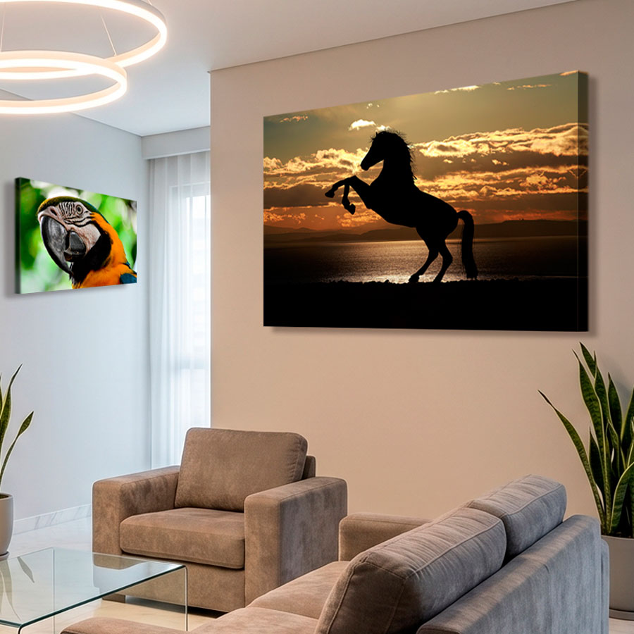 Cuadros Animales