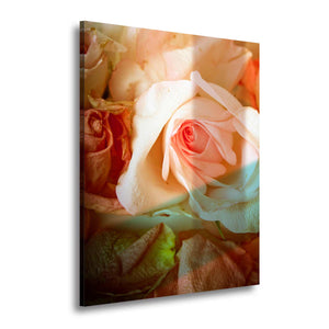 Cuadro de rosas color melocotón y crema con luz cálida en MDF, sobre fondo blanco